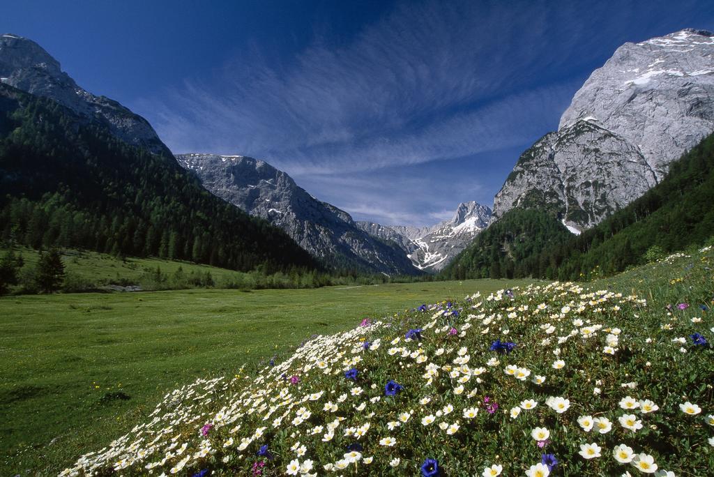 Apart Garni Montana Pertisau Exterior foto